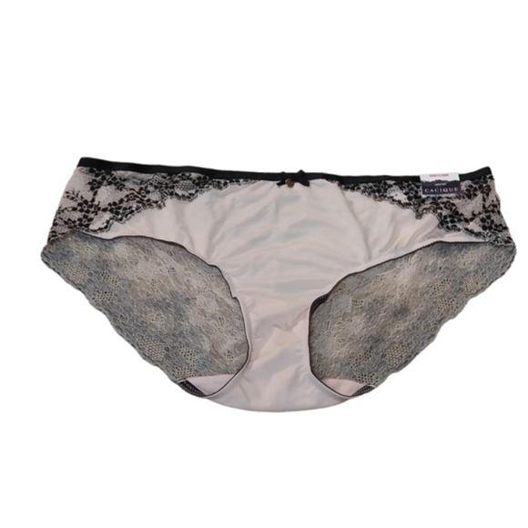 Cacique Intimates & Sleepwear Nwt Cacique Lace Floral Hipster Panty
